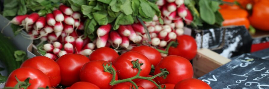Conservation des tomates : Sotreas Sarl parie sur la transformation