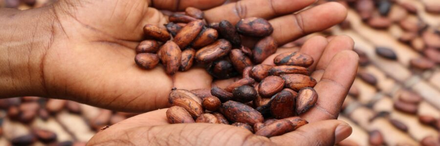 Ferrero Cameroun : Augmentation de Capital et Apurement de Dette