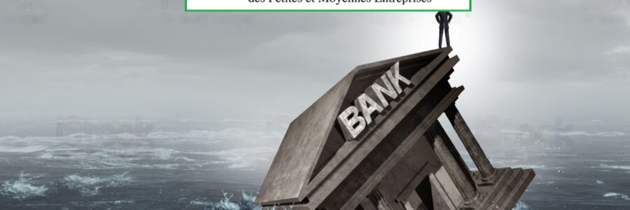 Bank: Sanction majeure – La Cobac retire l’agrément à la, Directrice Générale de la BC-PMEBank: